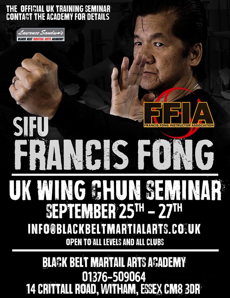 Francis Fong 2015 poster