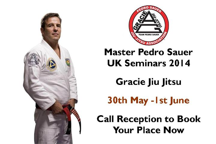Professor Sauer UK Seminars 2014