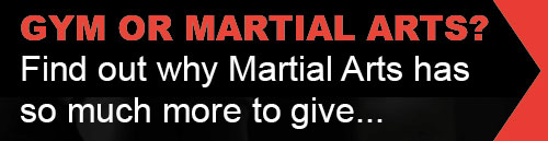Why Martial Arts!